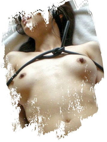 ＳＭプレイに嵌るセレブ人妻